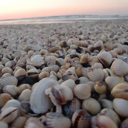 Blick Wismarer Bucht - Abc51 *